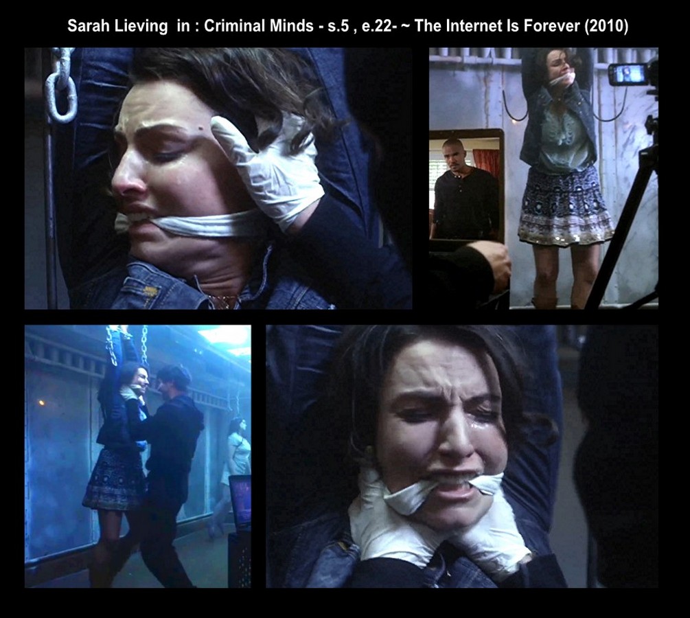 Criminal Minds--s5-ep22--The Internet Is Forever-(2010)--Sarah Lieving_dazzlerotica-com_damsels