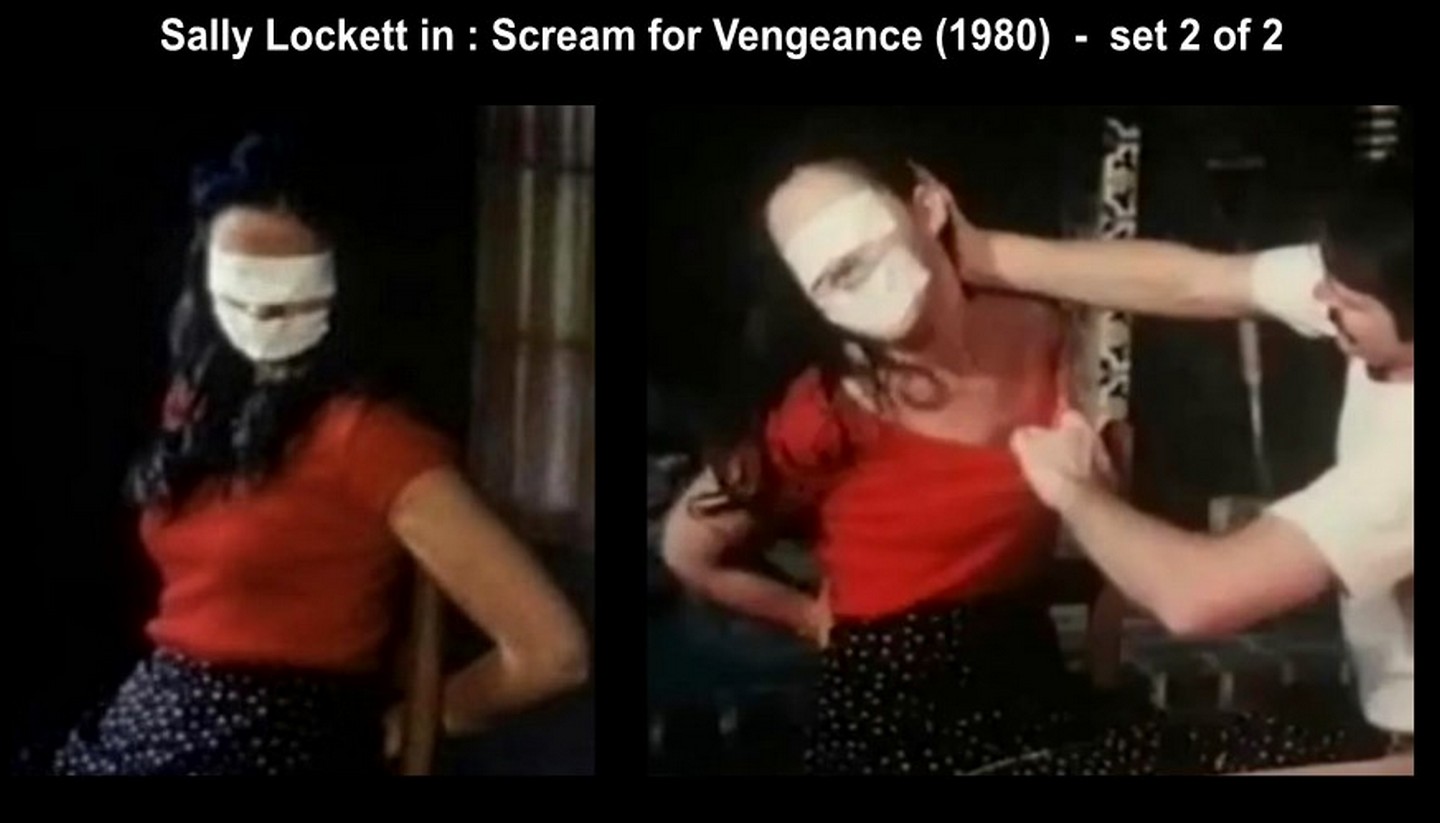 Scream for Vengeance----1980---Sally Lockett_dazzlerotica-com_damsels